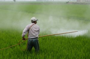 pesticides in plants