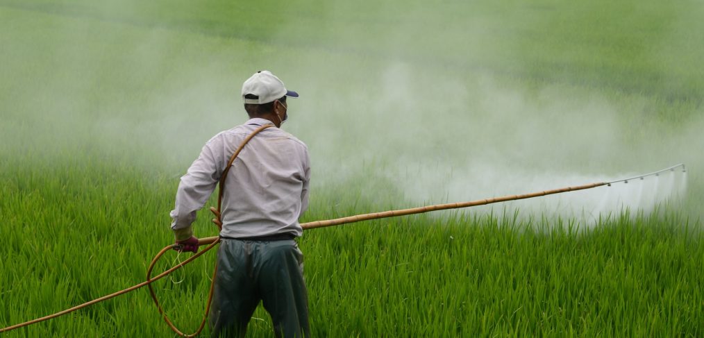 pesticides in plants